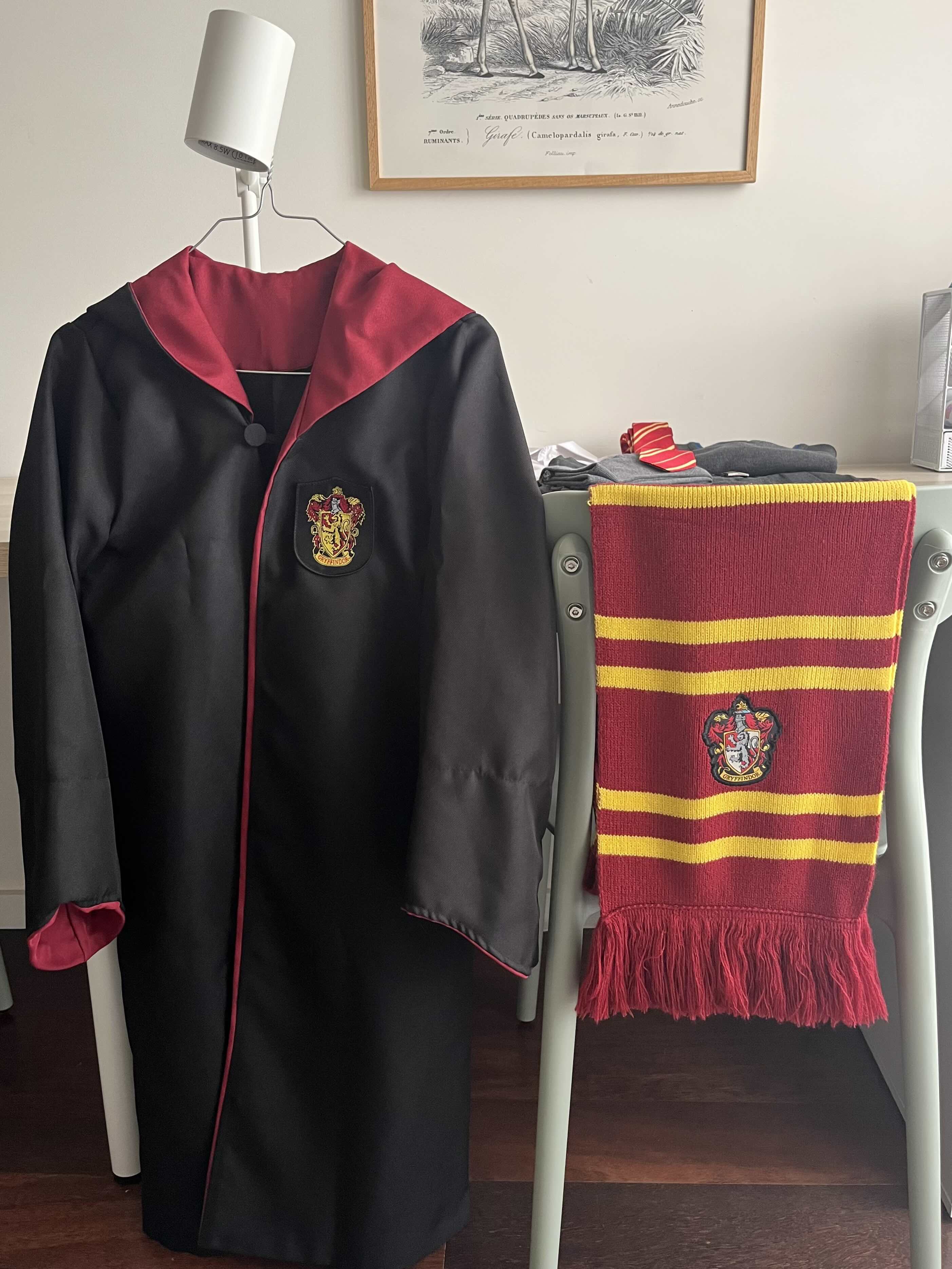 Capa e cachecol dos Gryffindor para conseguir um look realista.